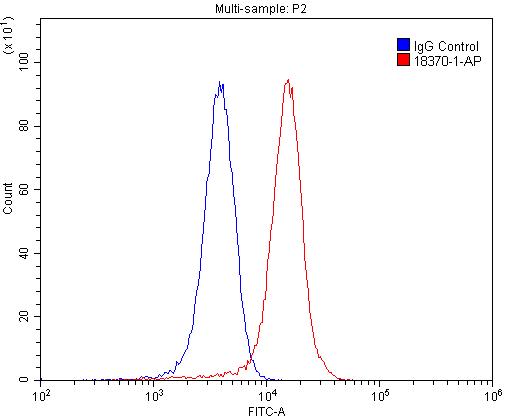 FC experiment of SH-SY5Y using 18370-1-AP