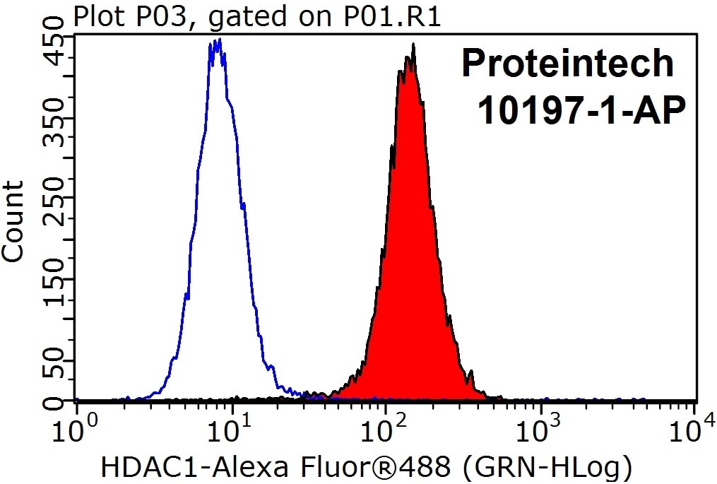 1X10^6 HeLa cells were stained with the 0.2ug HDAC1 antibody (10197-1-AP, red) and a control antibody (blue). Fixed with 90% MeOH blocked with 3% BSA (30 min). Alexa Fluor 488-conjugated AffiniPure Goat Anti-Rabbit IgG (H+L) at a dilution of 1:1000