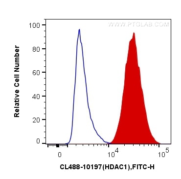 Flow cytometry (FC) experiment of HeLa cells using CoraLite® Plus 488-conjugated HDAC1 Polyclonal ant (CL488-10197)