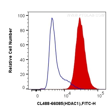 Flow cytometry (FC) experiment of HeLa cells using CoraLite® Plus 488-conjugated HDAC1 Monoclonal ant (CL488-66085)
