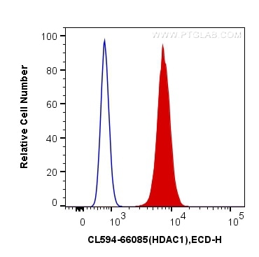 Flow cytometry (FC) experiment of HeLa cells using CoraLite®594-conjugated HDAC1 Monoclonal antibody (CL594-66085)