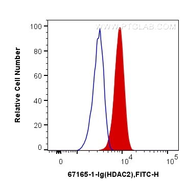 Flow cytometry (FC) experiment of HepG2 cells using HDAC2 Monoclonal antibody (67165-1-Ig)