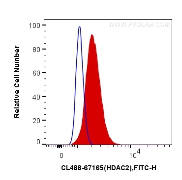 Flow cytometry (FC) experiment of HepG2 cells using CoraLite® Plus 488-conjugated HDAC2 Monoclonal ant (CL488-67165)