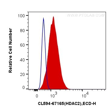 Flow cytometry (FC) experiment of HepG2 cells using CoraLite®594-conjugated HDAC2 Monoclonal antibody (CL594-67165)