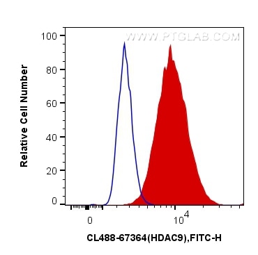 Flow cytometry (FC) experiment of HeLa cells using CoraLite® Plus 488-conjugated HDAC9 Monoclonal ant (CL488-67364)