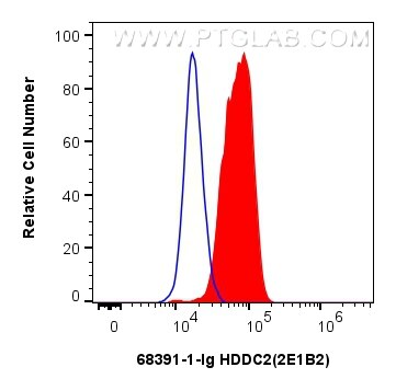 Flow cytometry (FC) experiment of U2OS cells using HDDC2 Monoclonal antibody (68391-1-Ig)