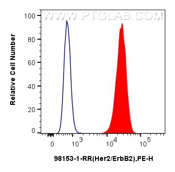 Flow cytometry (FC) experiment of NIH/3T3 cells using Anti-Mouse HER2/ErbB2 Rabbit Recombinant Antibody (98153-1-RR)