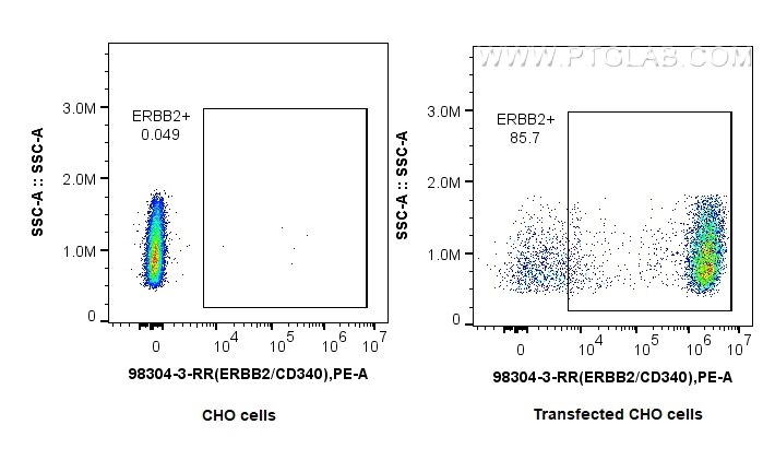 FC experiment of Transfected CHO using 98304-3-RR Flow cytometry (FC) experiment of Transfected CHO using Anti-Human HER2/ErbB2 Rabbit Recombinant Antibody (98304-3-RR)