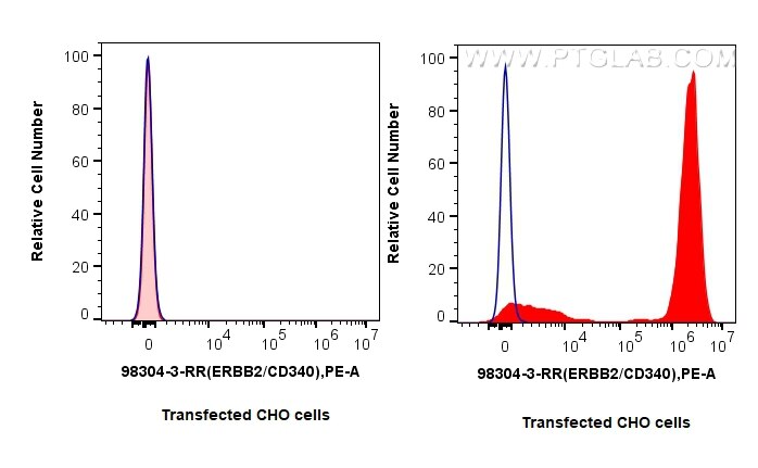 FC experiment of Transfected CHO using 98304-3-RR Flow cytometry (FC) experiment of Transfected CHO using Anti-Human HER2/ErbB2 Rabbit Recombinant Antibody (98304-3-RR)