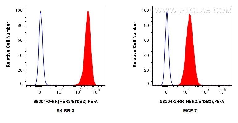 FC experiment of SK-BR-3 using 98304-3-RR Flow cytometry (FC) experiment of SK-BR-3 cells using Anti-Human HER2/ErbB2 Rabbit Recombinant Antibody (98304-3-RR)