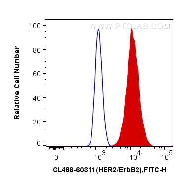 FC experiment of SK-BR-3 using CL488-60311