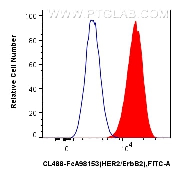 FC experiment of NIH/3T3 using CL488-FcA98153 Flow cytometry (FC) experiment of NIH/3T3 cells using FcZero-rAb® CoraLite® Plus 488 Anti-Mouse HER2/Erb (CL488-FcA98153)