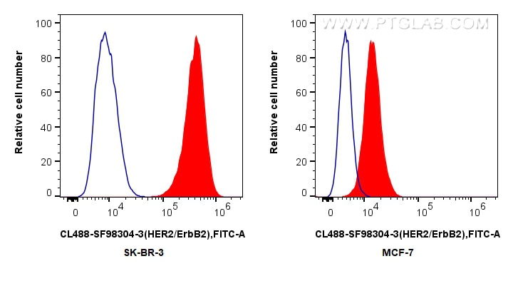 FC experiment of SK-BR-3 using CL488-SF98304-3 Flow cytometry (FC) experiment of SK-BR-3 cells using CoraLite® Plus 488 Anti-Human HER2/ErbB2 Rabbit sc (CL488-SF98304-3)
