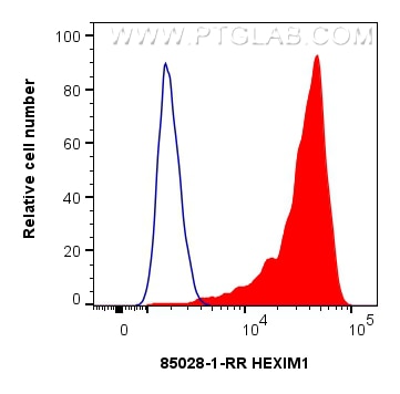 Flow cytometry (FC) experiment of HeLa cells using HEXIM1 Recombinant antibody (85028-1-RR)