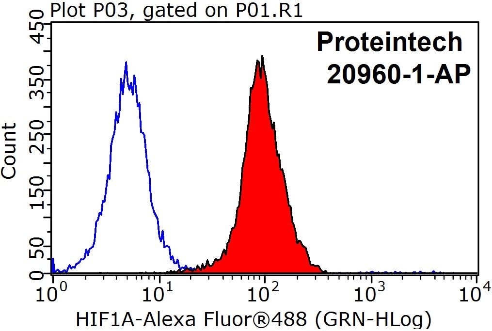 Flow cytometry (FC) experiment of HeLa cells using HIF-1 alpha Polyclonal antibody (20960-1-AP)