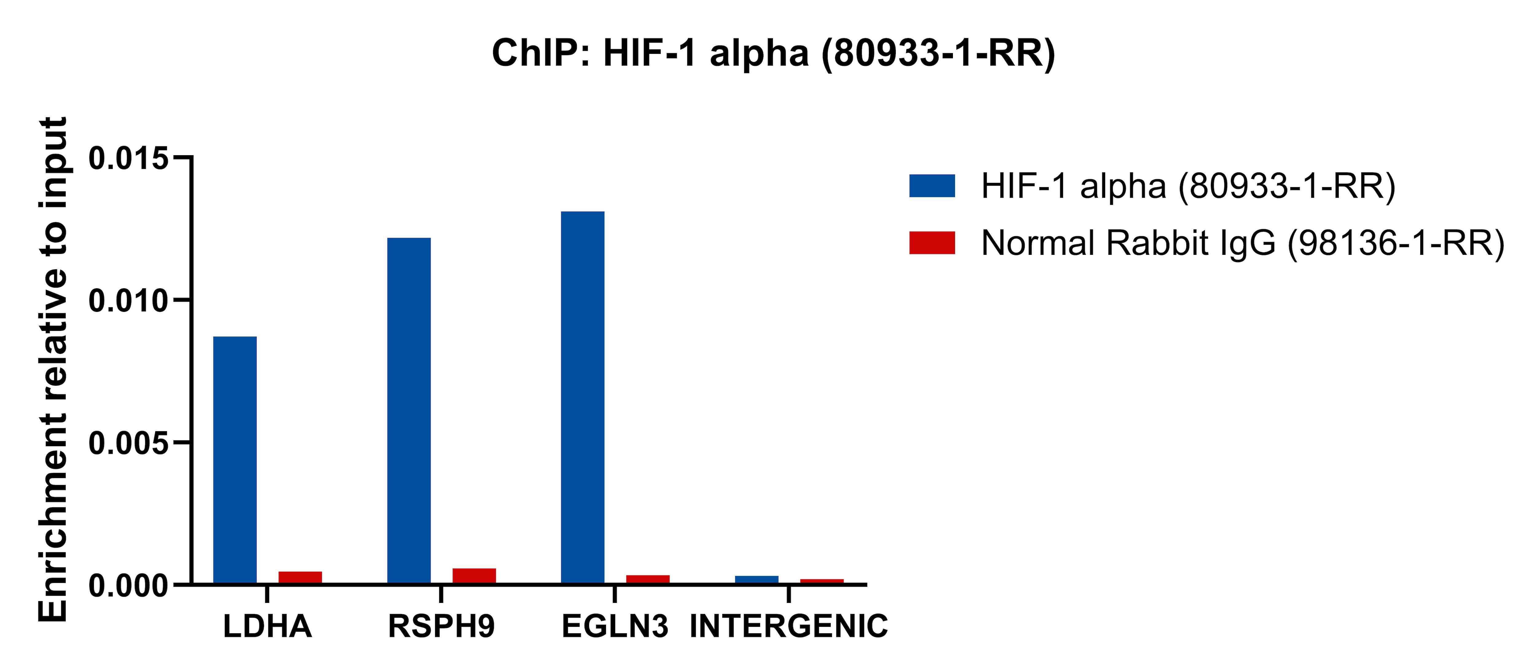 ChIP experiment of HeLa cells using HIF-1 alpha Recombinant antibody (80933-1-RR)