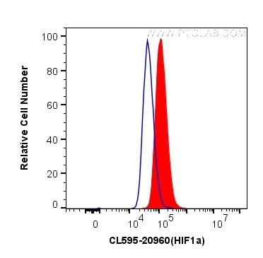 Flow cytometry (FC) experiment of HeLa cells using CoraLite®595-conjugated HIF1a Polyclonal antibody (CL595-20960)
