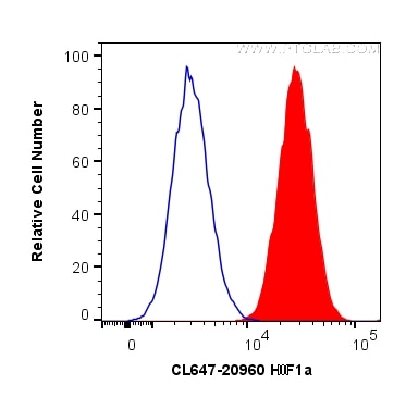 HIF-1 alpha