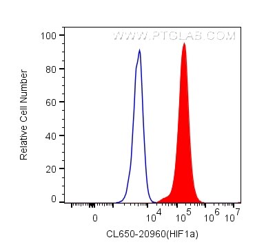 FC experiment of HeLa using CL650-20960