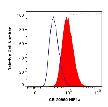 Flow cytometry (FC) experiment of HeLa cells using Cardinal Red™-conjugated HIF-1 alpha Polyclonal an (CR-20960)