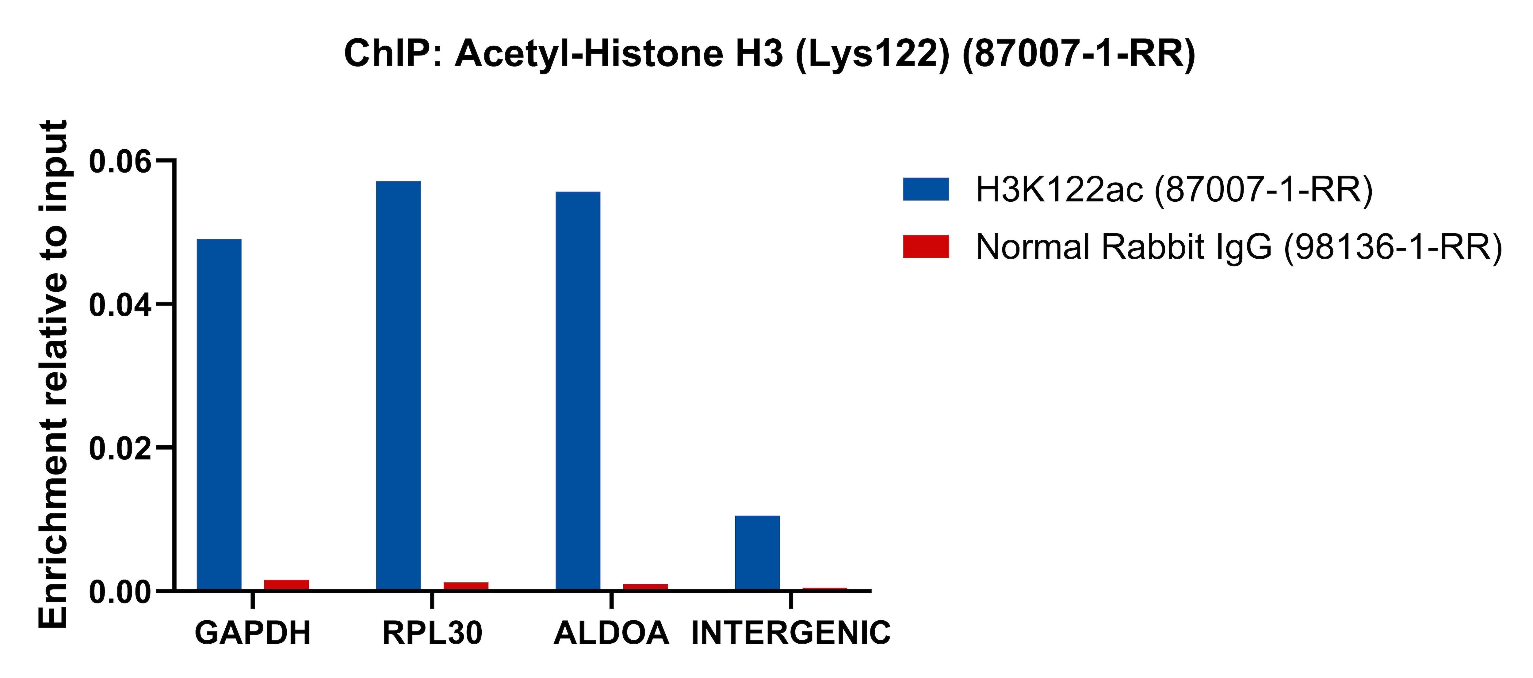 ChIP experiment of HeLa cells using Acetyl-Histone H3 (Lys122) Recombinant monoclonal  (87007-1-RR)