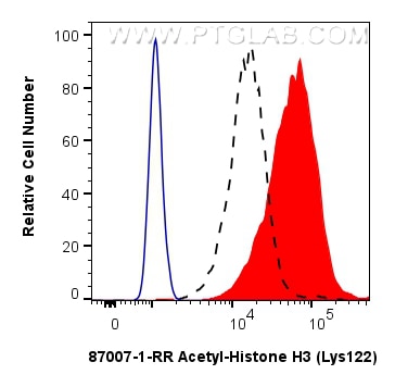 FC experiment of NIH/3T3 using 87007-1-RR Flow cytometry (FC) experiment of NIH/3T3 cells using Acetyl-Histone H3 (Lys122) Recombinant monoclonal (87007-1-RR)