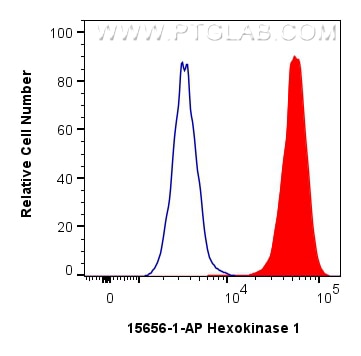 1x10^6 HeLa cells were intracellularly stained with 0.25 ug Hexokinase 1 Polyclonal antibody (15656-1-AP) and CoraLite®488-Conjugated Goat Anti-Rabbit IgG(H+L) (SA00013-2)(red), or 0.25 ug Isotype Control (blue). Cells were fixed and permeabilized with Intracellular Flow Cytometry Fixation & Permeabilization Buffer Kit (PF00019). Flow cytometry (FC) experiment of HeLa cells using Hexokinase 1 Polyclonal antibody (15656-1-AP)