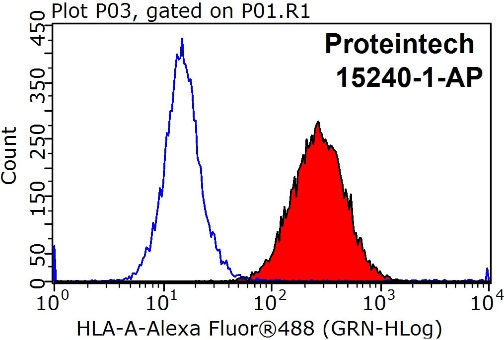 HLA class I ABC Polyclonal antibody