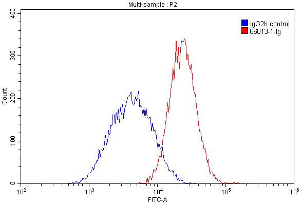 Flow cytometry (FC) experiment of Raji cells using HLA class I ABC Monoclonal antibody (66013-1-Ig)