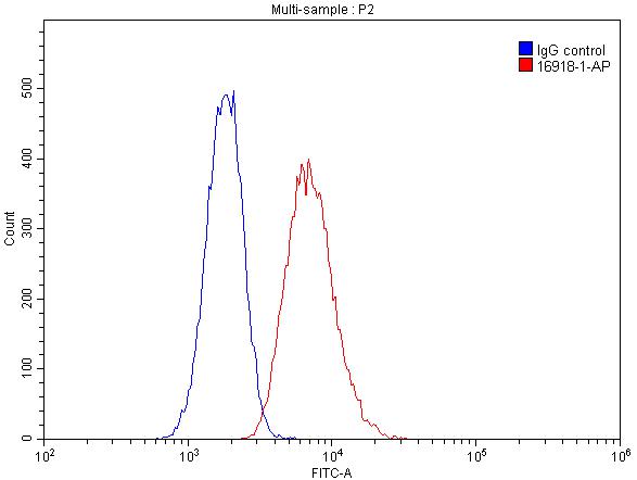 FC experiment of Raji using 16918-1-AP