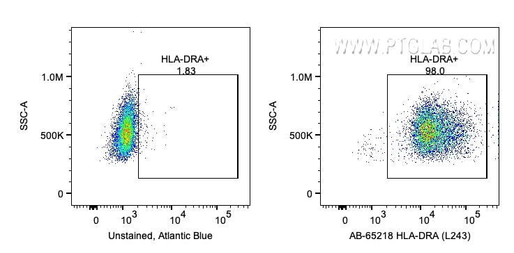 Flow cytometry (FC) experiment of human PBMCs using Atlantic Blue™ Anti-Human HLA-DR (L243) (AB-65218)