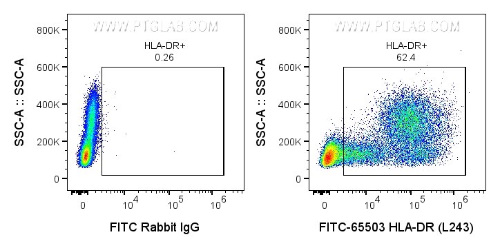 Flow cytometry (FC) experiment of human PBMCs using FITC Plus Anti-Human HLA-DR  (L243) Rabbit Recombi (FITC-65503)