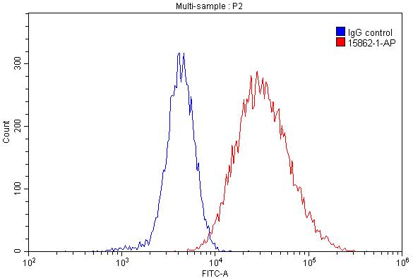 FC experiment of Raji using 15862-1-AP