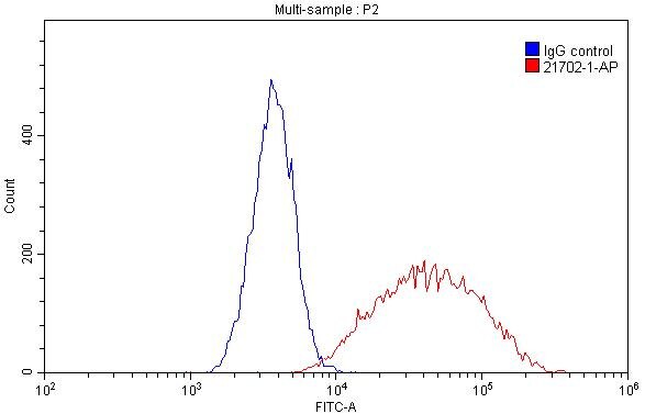 FC experiment of Raji using 21702-1-AP