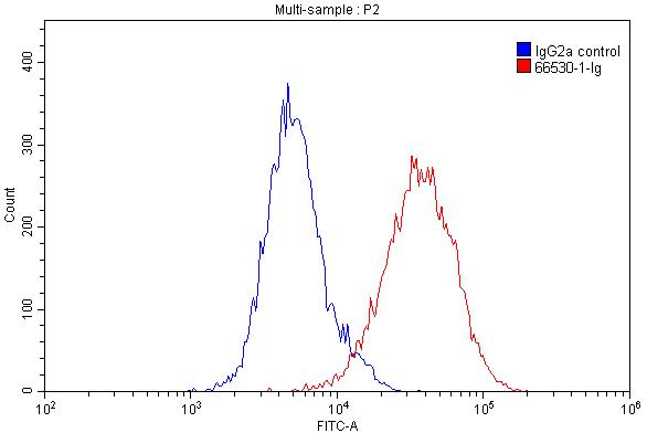 Flow cytometry (FC) experiment of THP-1 cells using HLA-E Monoclonal antibody (66530-1-Ig)
