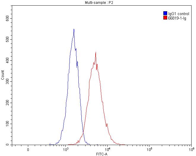 Flow cytometry (FC) experiment of Raji cells using HLA-F Monoclonal antibody (66819-1-Ig)