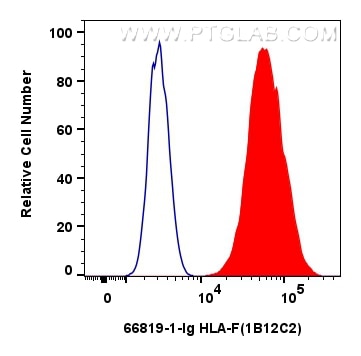 Flow cytometry (FC) experiment of Raji cells using human HLA-F Monoclonal antibody (66819-1-Ig)