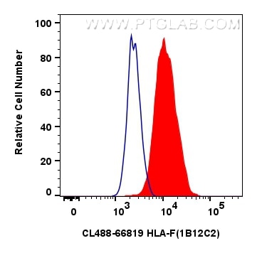 Flow cytometry (FC) experiment of Raji cells using CoraLite® Plus 488-conjugated HLA-F Monoclonal ant (CL488-66819)