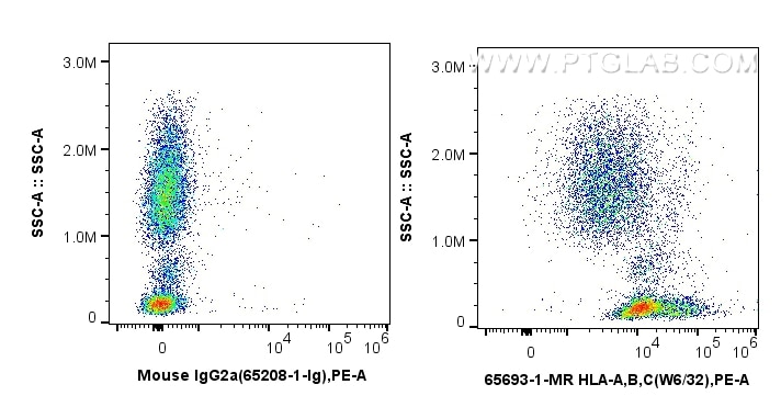 Flow cytometry (FC) experiment of human peripheral blood leukocytes using Anti-Human HLA class I (HLA-ABC) (W6/32) Mouse IgG (65693-1-MR)