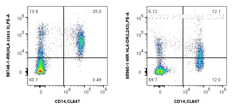Flow cytometry (FC) experiment of human PBMCs using Anti-Human HLA class II Rabbit Recombinant Antibod (98748-1-RR)
