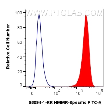 Flow cytometry (FC) experiment of HepG2 cells using HMMR-Specific Recombinant monoclonal antibody (85094-1-RR)