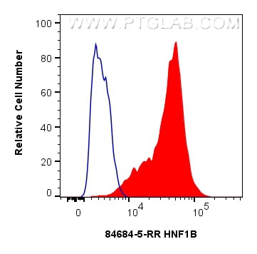Flow cytometry (FC) experiment of Caco-2 cells using HNF1B Recombinant antibody (84684-5-RR)