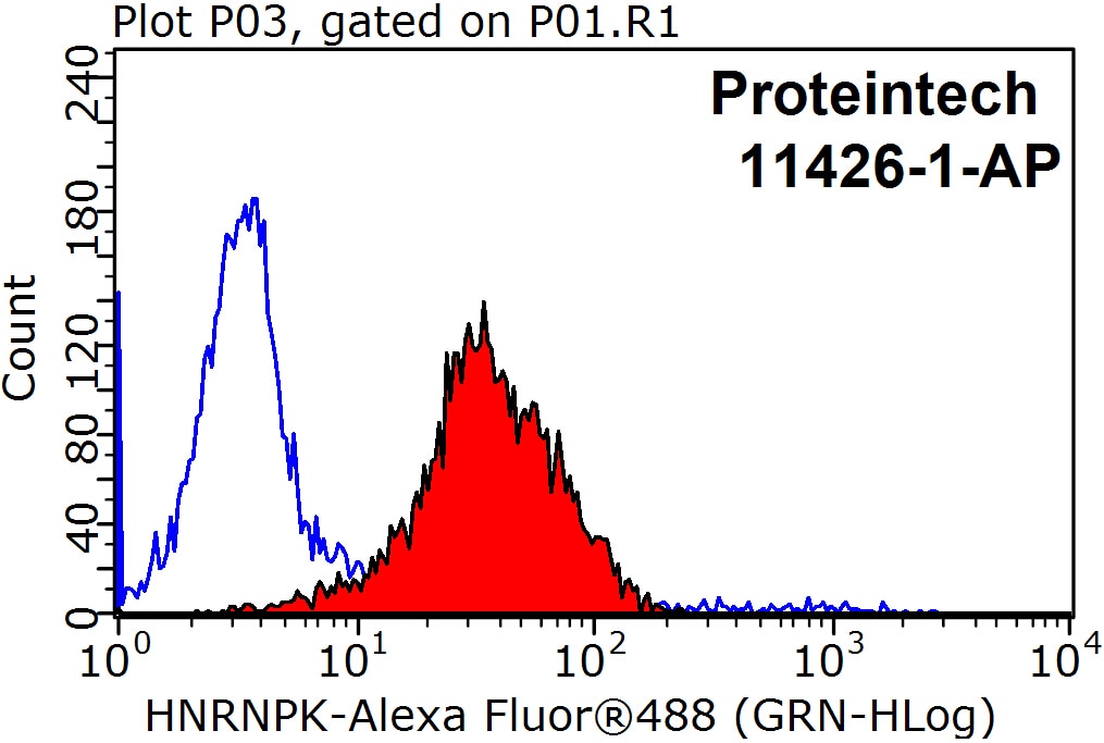 Flow cytometry (FC) experiment of HepG2 cells using HNRNPK Polyclonal antibody (11426-1-AP)