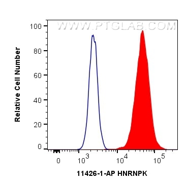 Flow cytometry (FC) experiment of HepG2 cells using HNRNPK Polyclonal antibody (11426-1-AP)