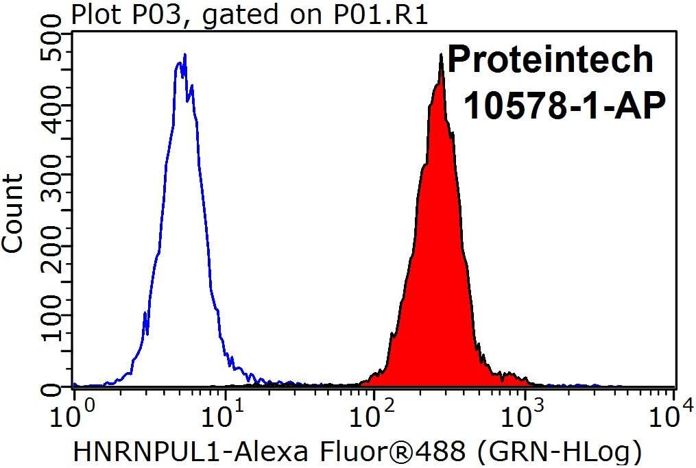 Flow cytometry (FC) experiment of HepG2 cells using HNRNPUL1 Polyclonal antibody (10578-1-AP)
