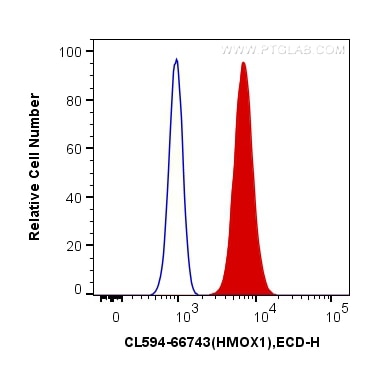 Flow cytometry (FC) experiment of HeLa cells using CoraLite®594-conjugated HO-1/HMOX1 Monoclonal anti (CL594-66743)