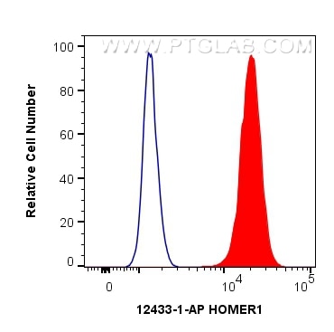 Flow cytometry (FC) experiment of SH-SY5Y cells using HOMER1 Polyclonal antibody (12433-1-AP)