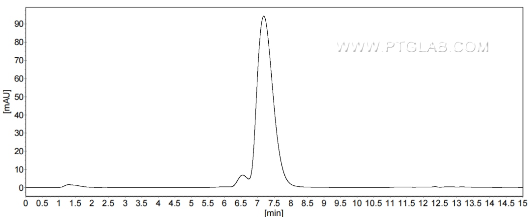The purity of Human CEACAM6/CD66c was greater than 90% as determined by SEC-HPLC.