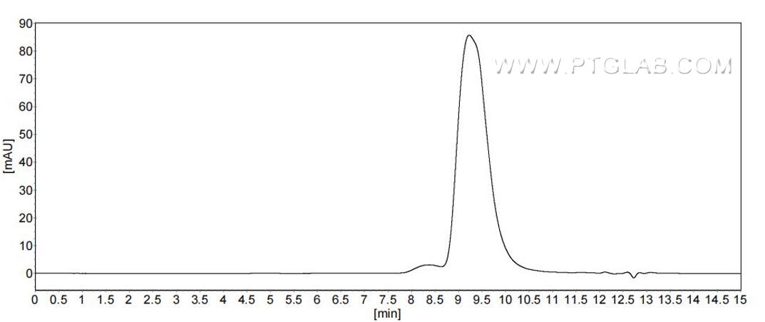 The purity of Human CD38 was greater than 90% as determined by SEC-HPLC.