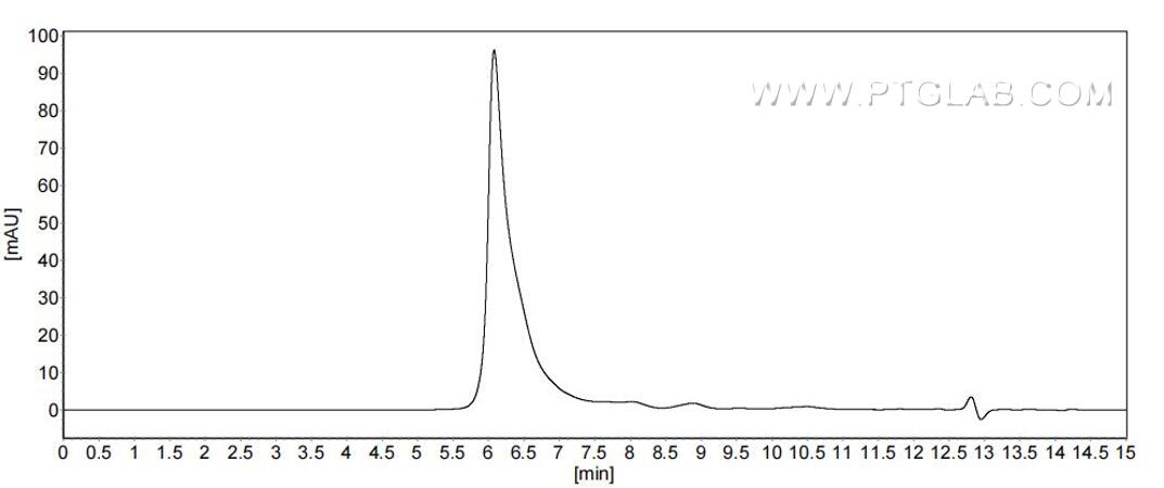 The purity of Human VEGF-B was greater than 90% as determined by SEC-HPLC. The purity of Human VEGF-B was greater than 90% as determined by SEC-HPLC.